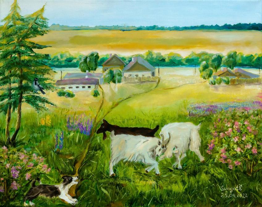 Фото №1004176. Утро. 2022. Елена Сунгатова