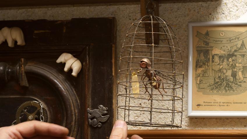 Фото №1004423. Муха в клетке. Рашид Тухватуллин