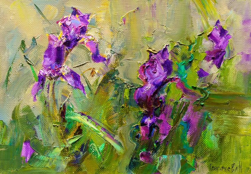 Фото №1004852. Ирисы. 2022. Наталья Григорьева