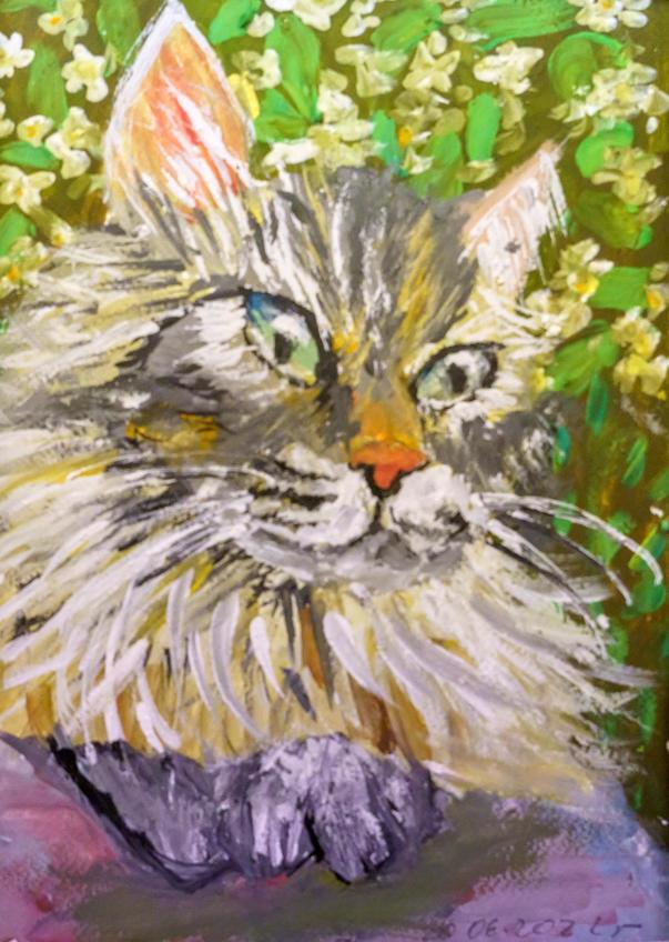 Фото №1006058. Благородный кот. 2022. Татьяна Гнездилова