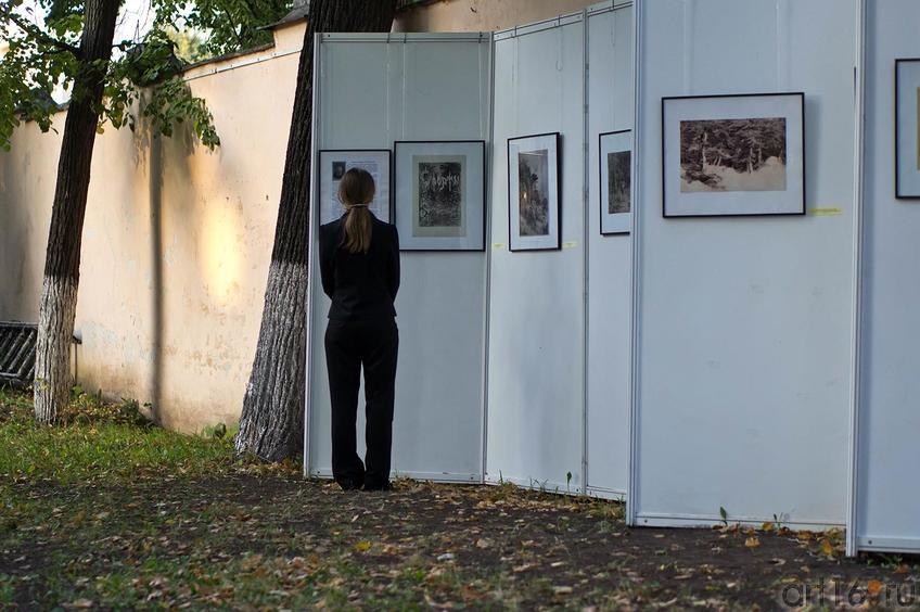 Фото №110179. Art16.ru Photo archive