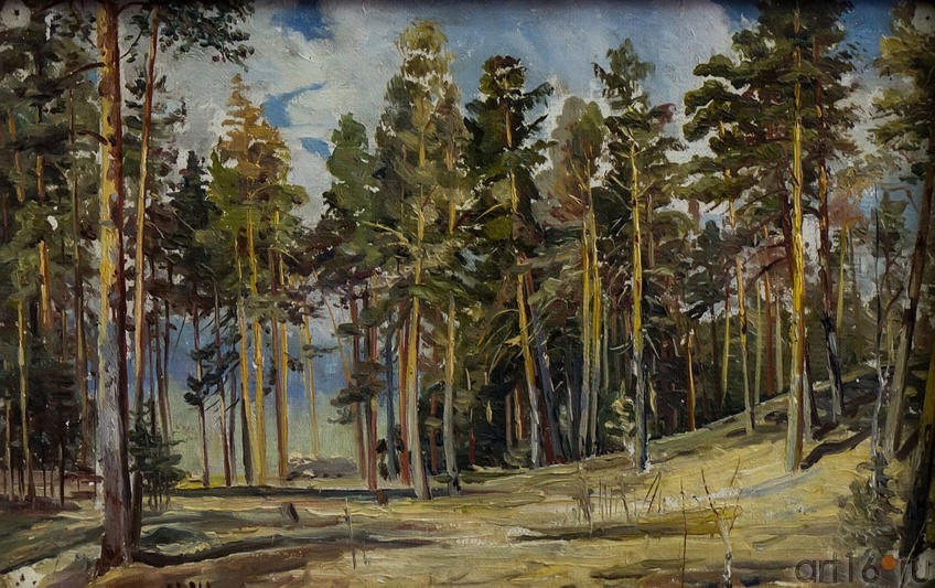 Фото №114716. Сосны. Солнечный день. Этюд 1890. Шишкин И.И (1832-1898)