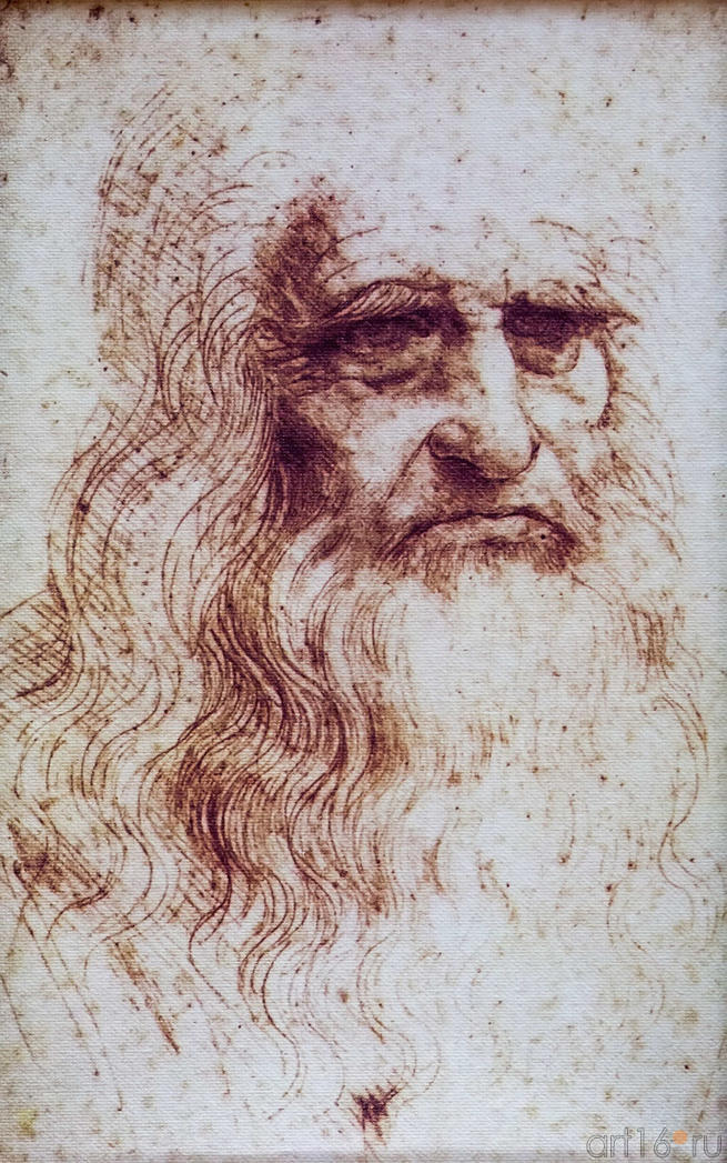 Фото №115216. Портретс самого себя в преклонном возрасте. Леонардо да Винч