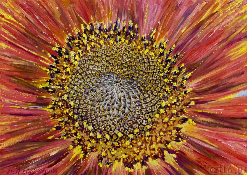 Фото №150665. Подсолнух