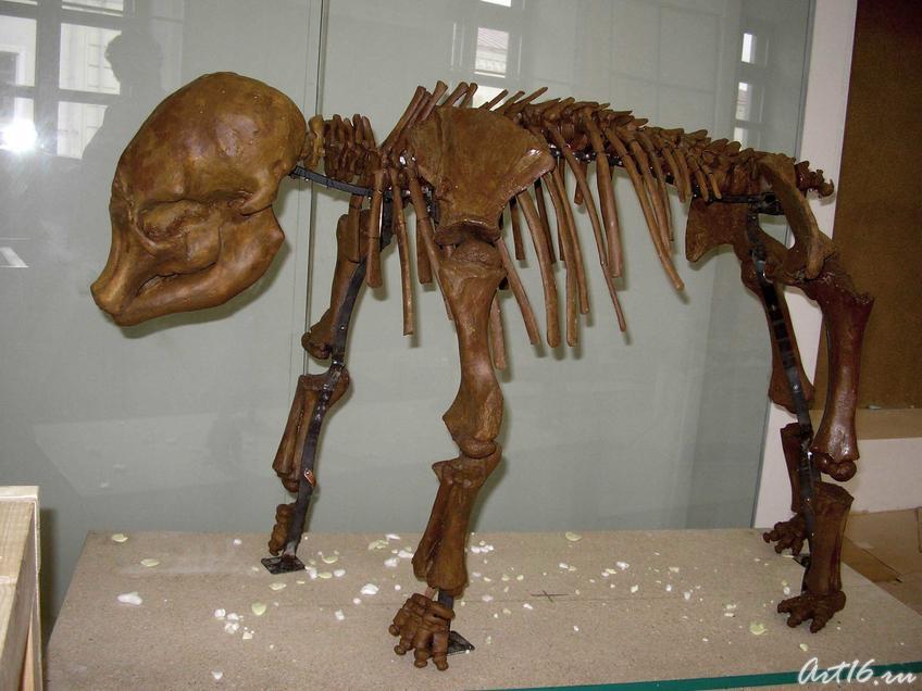 Фото №16406. Мир млекопитающих