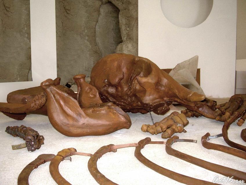 Фото №16412. Мир млекопитающих