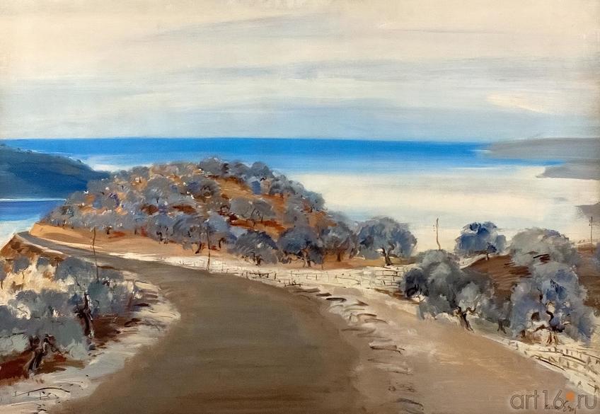 Фото №173959. ТУРАН ЭРОЛ. ПЕЙЗАЖ, ДЕРЕВЬЯ