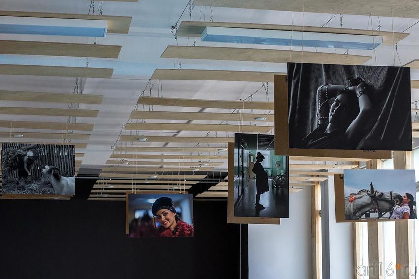 Фото №175238. Art16.ru Photo archive