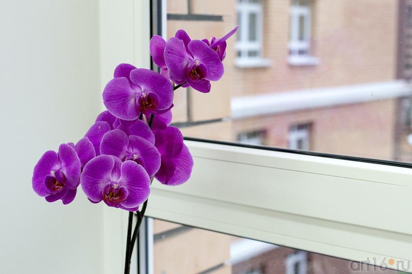 Фото №177156. Art16.ru Photo archive