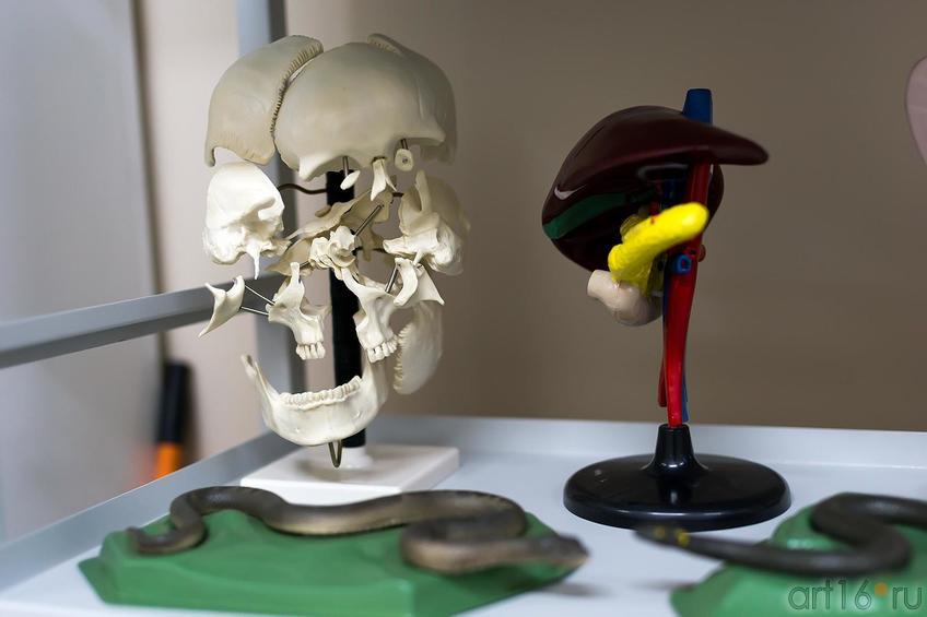 Фото №177258. Art16.ru Photo archive