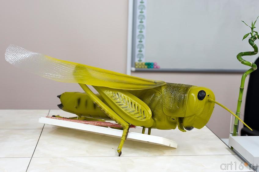 Фото №177270. Art16.ru Photo archive