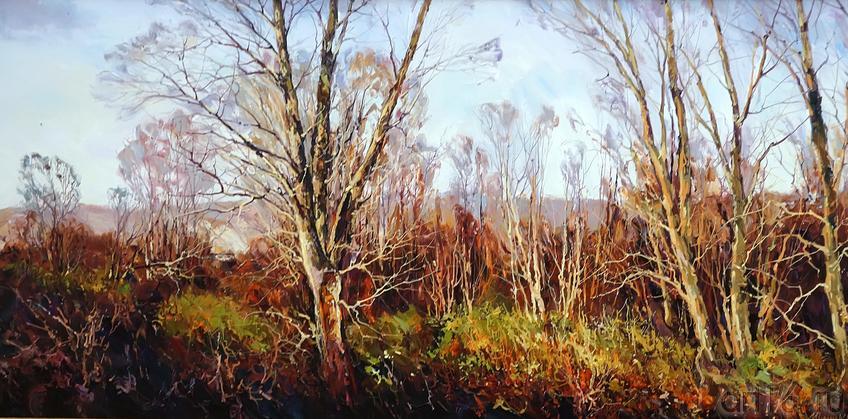 Фото №208766. Вечер. И. Мусин