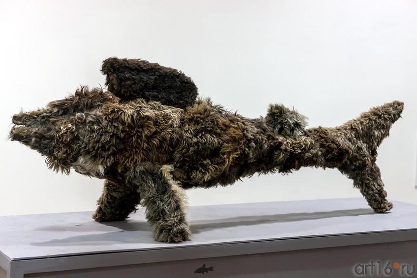 Фото №225586. Андрей Митенёв, Москва. РЫБИЙ МЕХ