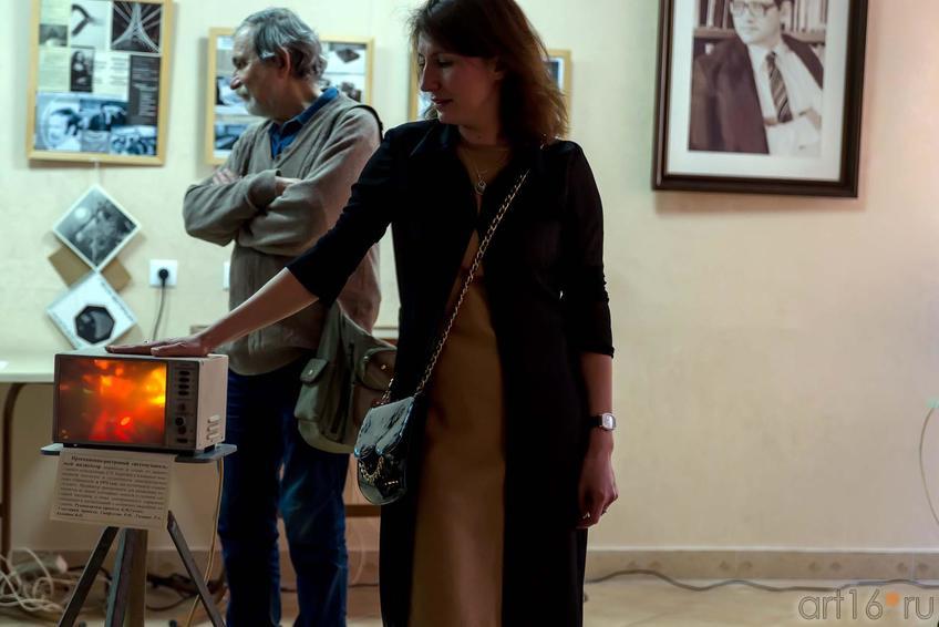 Фото №228405. Проекционно-растровый светомузыкальный индикатор