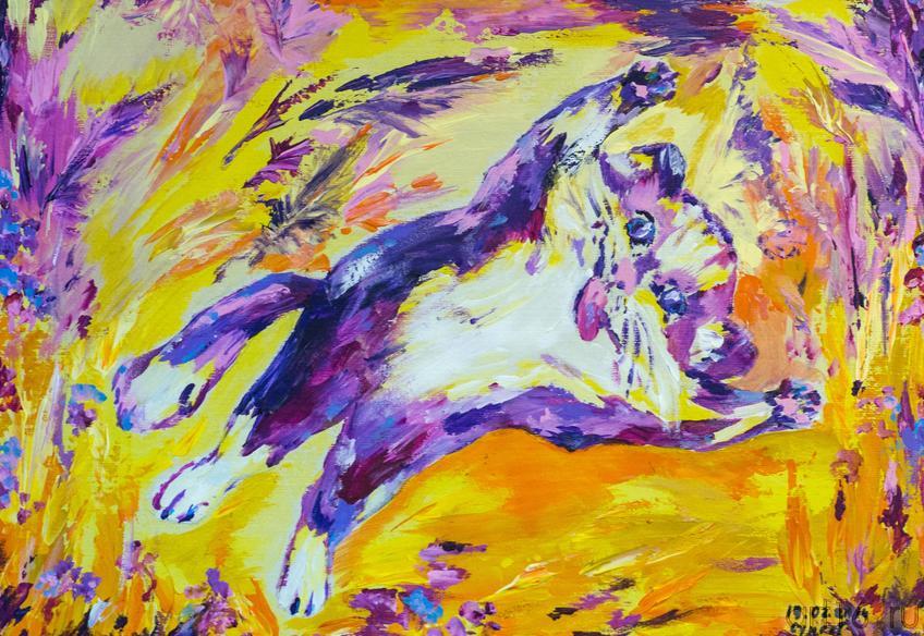 Фото №238074. Радость. 2014. Сунгатова Елена