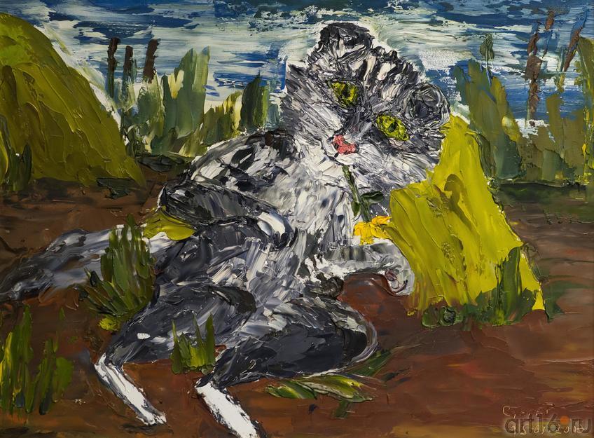 Фото №238149. Мечтатель. 2013. Сунгатова Елена