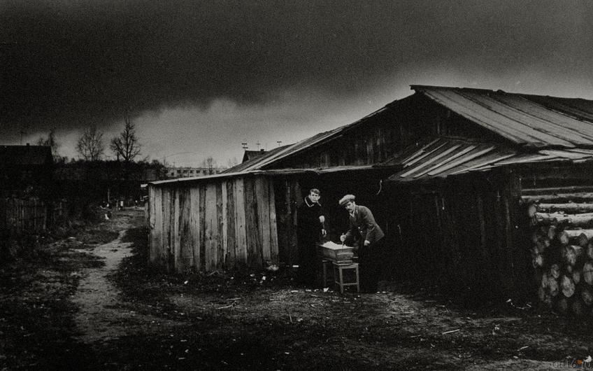 Фото №272474. В.Зотов. ОСЕНЬ. Зеленодольск. 1983