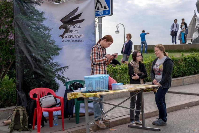 Фото №305142. Art16.ru Photo archive