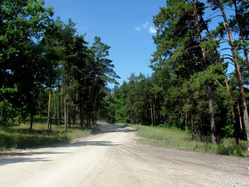 Фото №32361. Дорога с пристани в Булгар