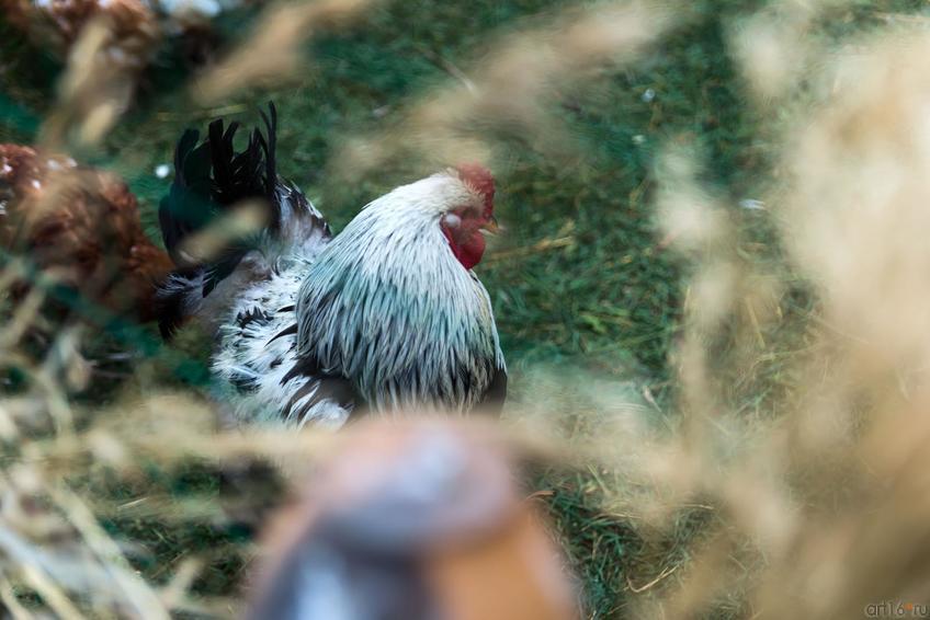 Фото №332018. Art16.ru Photo archive