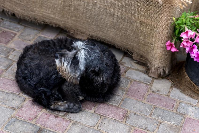 Фото №332036. Art16.ru Photo archive