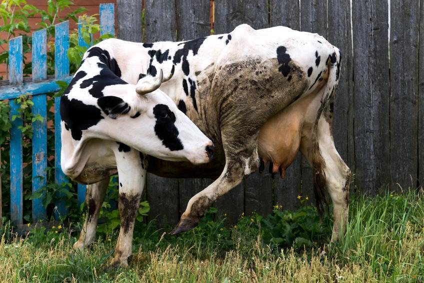 Фото №332255. Art16.ru Photo archive