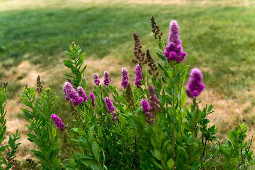 Фото №332279. Art16.ru Photo archive