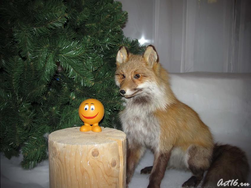 Фото №39980. «Колобок, колобок, я тебя съем!»