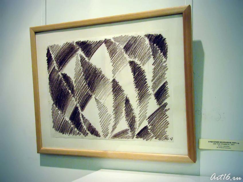 Фото №41518. Листья травы. III. 2007