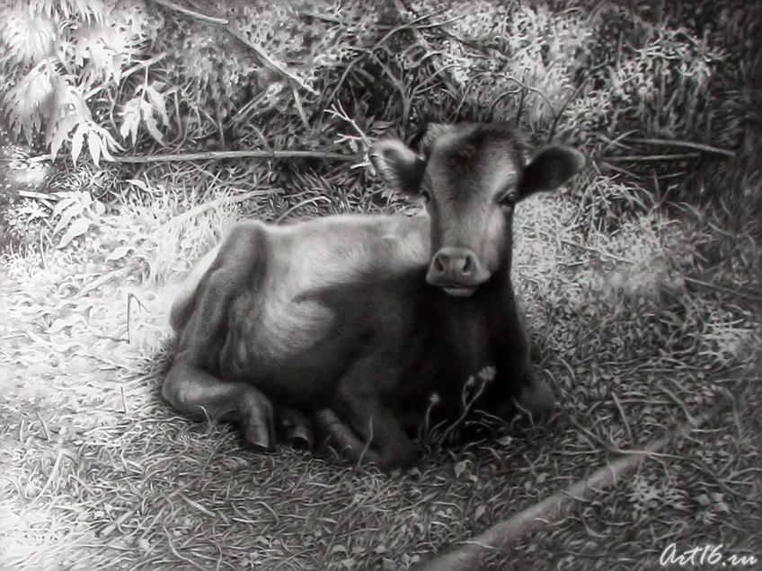 Фото №57533. Из серии "Домашние животные"