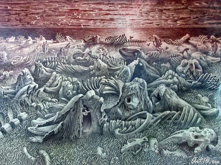 Фото №57539. Вечный покой. Из серии "Чукотка"