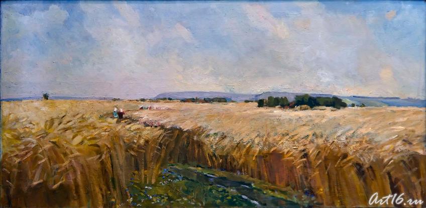 Фото №61237. Ржаное поле. 1968