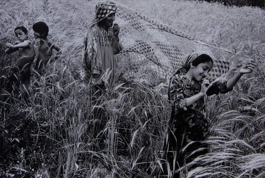 Фото №63146. Узбекистан 1990-1998