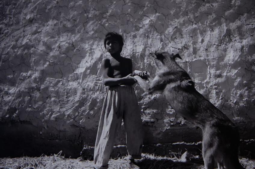 Фото №63171. Цыгане. Узбекистан 1992-1998