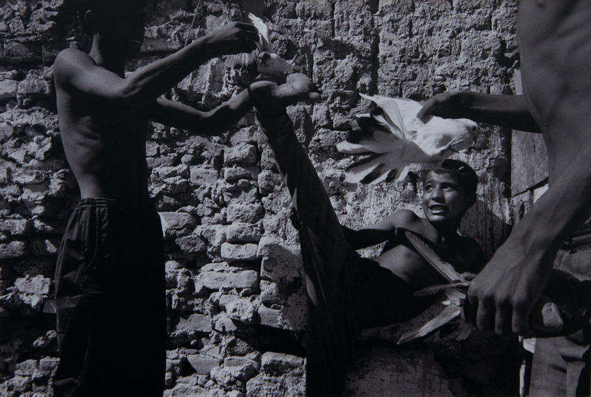 Фото №63176. Цыгане. Узбекистан 1992-1998