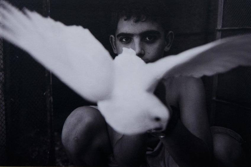 Фото №63181. Евреи. Бухара 2008