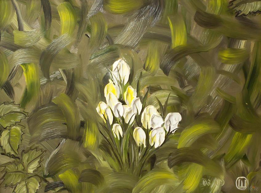 Фото №783740. «Что за декабрь? Из-под снега — цветы...». Светлана Шавалеева