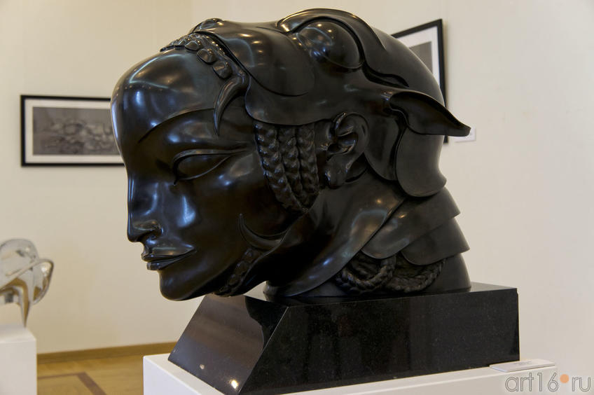 Фото №79309. Амазонка. 2010, Даши Намдаков