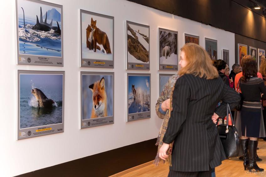 Фото №798467. Art16.ru Photo archive