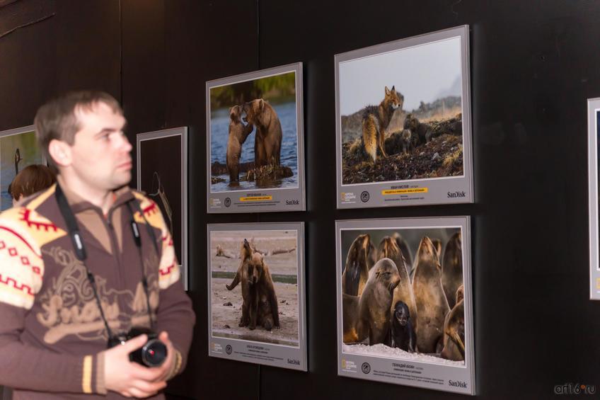 Фото №798533. Art16.ru Photo archive