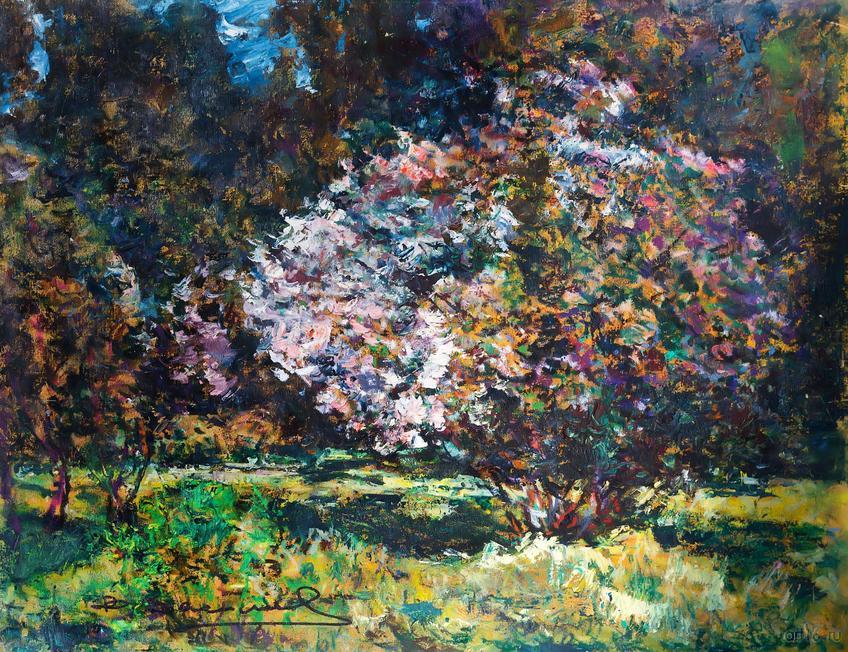 Фото №805164. Art16.ru Photo archive