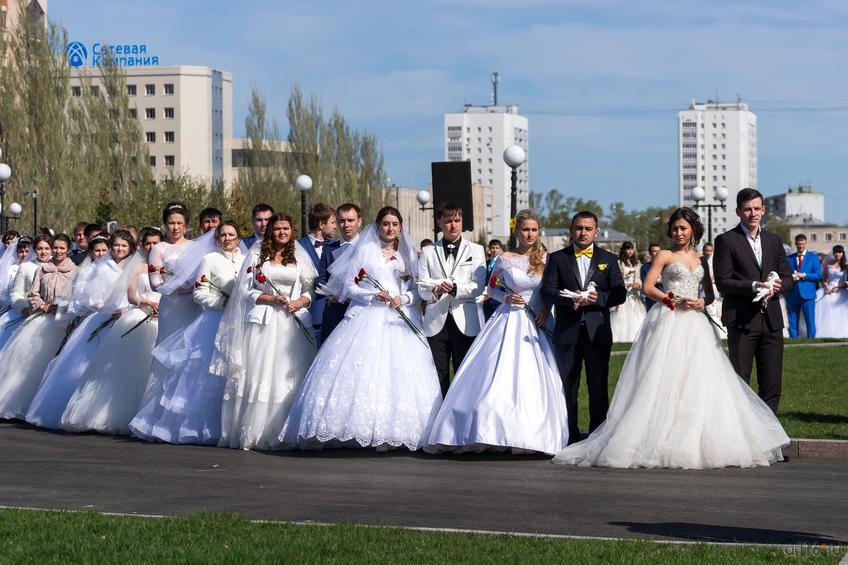 Фото №815891. Art16.ru Photo archive