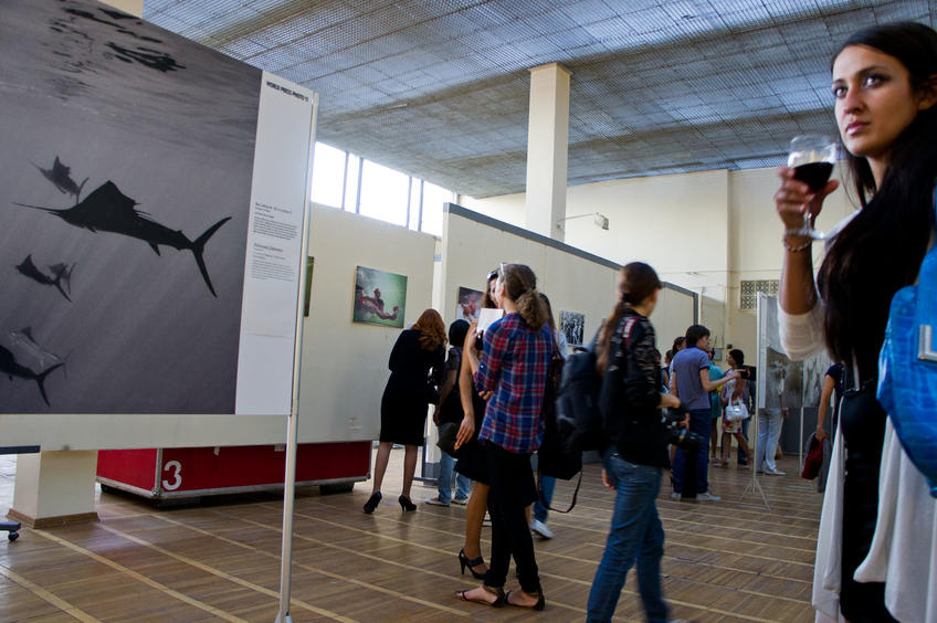 Фото №81864. Фотографии победителей конкурса фотожурналистов  "World Press Photo".2011