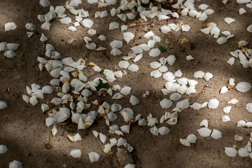 Фото №822849. Art16.ru Photo archive