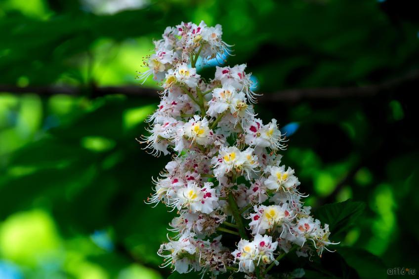 Фото №822855. Art16.ru Photo archive