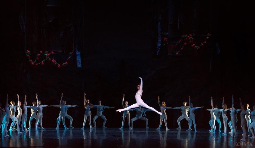 Фото №823080. Art16.ru Photo archive