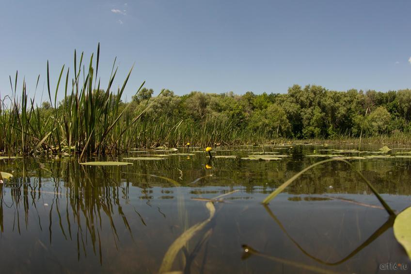 Фото №829420. Art16.ru Photo archive