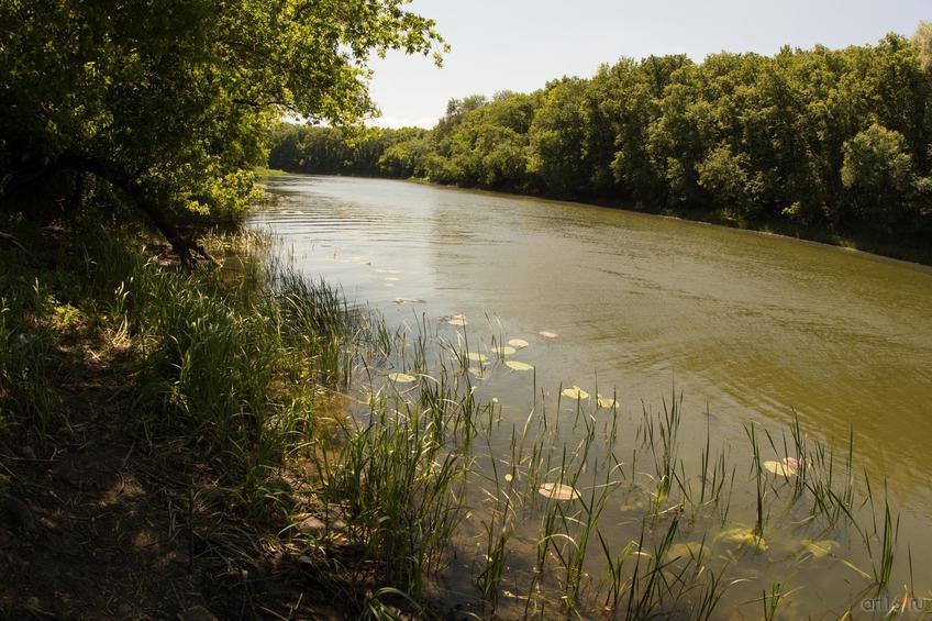 Фото №829486. Art16.ru Photo archive