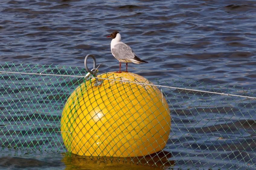 Фото №833755. Art16.ru Photo archive