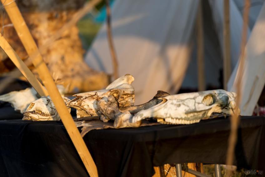 Фото №844984. Art16.ru Photo archive